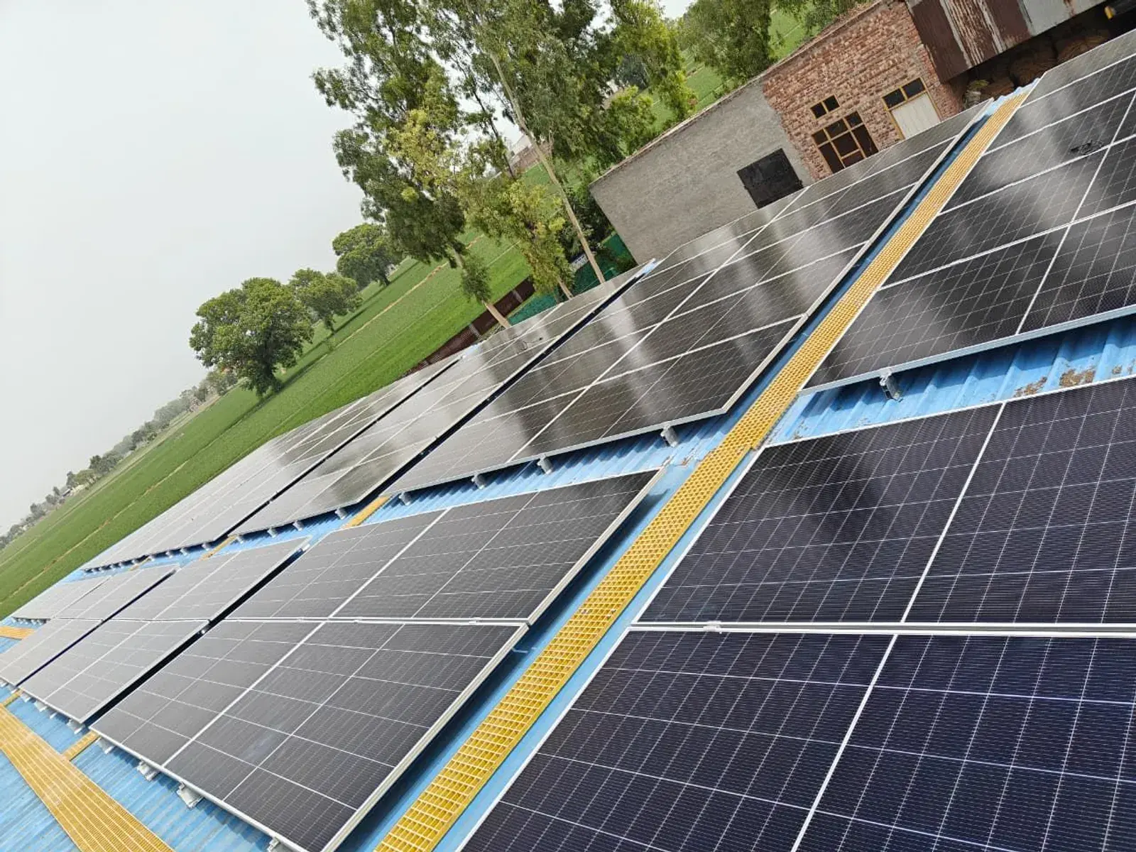 Rows of solar modules with yellow FRP walkways on the BKM Agro tin-shed roof